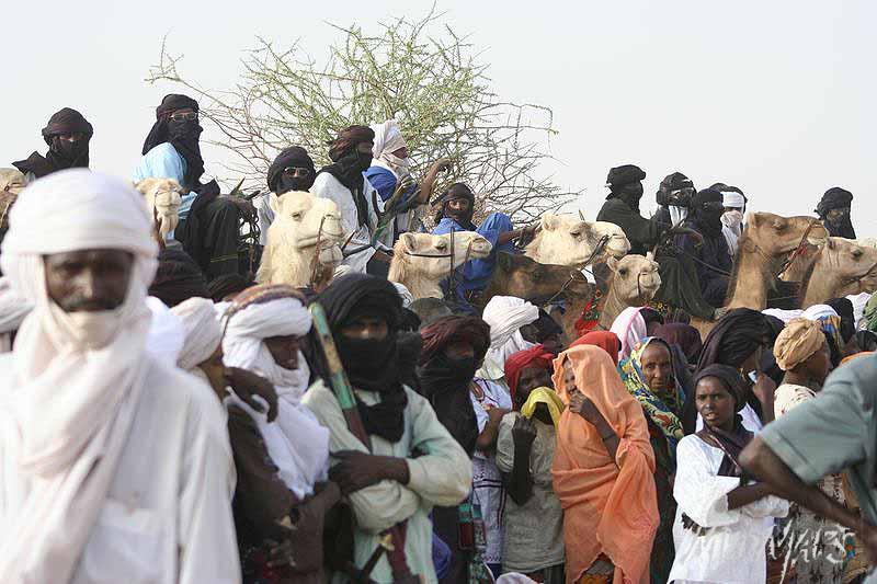 Mud Maps Africa Gaddafi camel party 3426